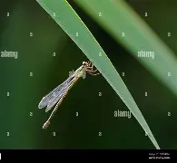 001662怎么样(1662是什么意思)