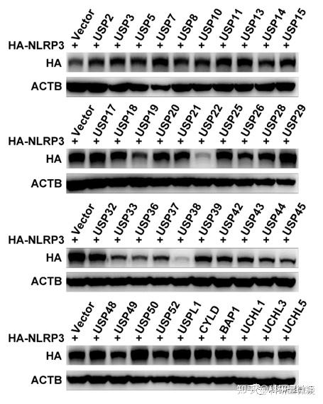 wbtc(五八同城找工作招聘最新)